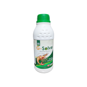 1 . G-SOLVE