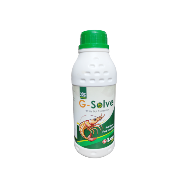 1 . G-SOLVE