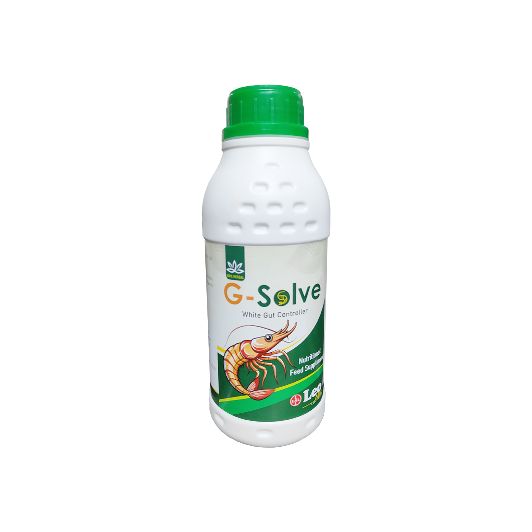 G solve