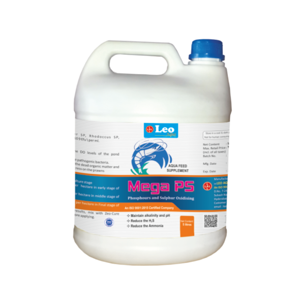 MEGA PS