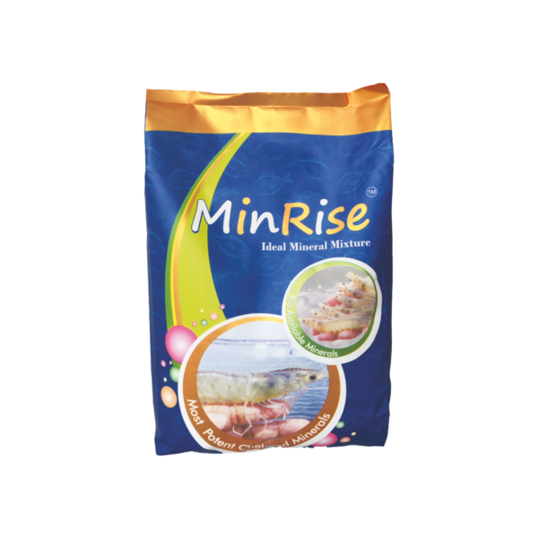 7 . MINRISE