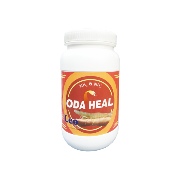 ODA HEAL