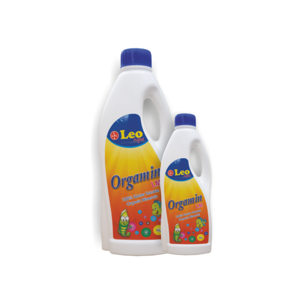 Orgamin