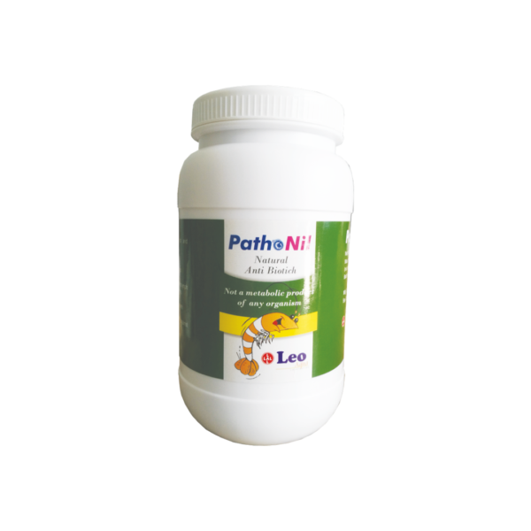 4 . PATHO NIL