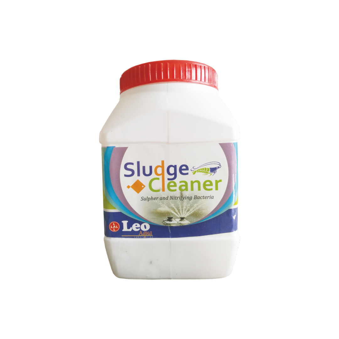 Sludge