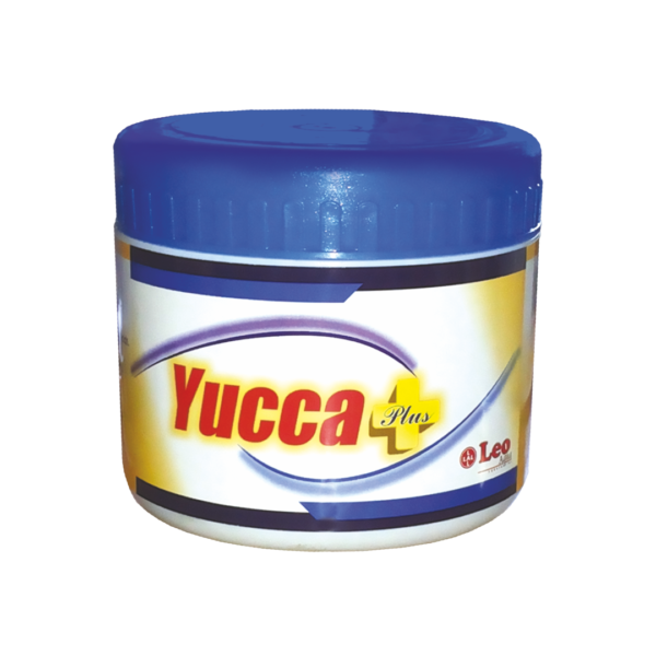 Yucca Plus
